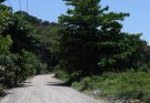 Prefeitura do Paulista e Governo do Estado concluem 100% da terraplanagem na Estrada do Catolé